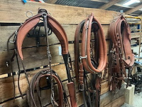 Tandemtuig - afbeelding 1 van  7