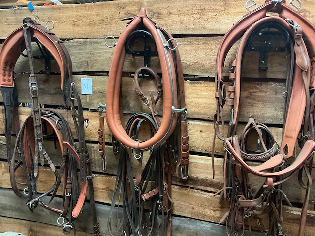 Tandemtuig - afbeelding 2 van  7