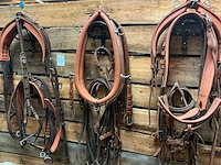 Tandemtuig - afbeelding 2 van  7