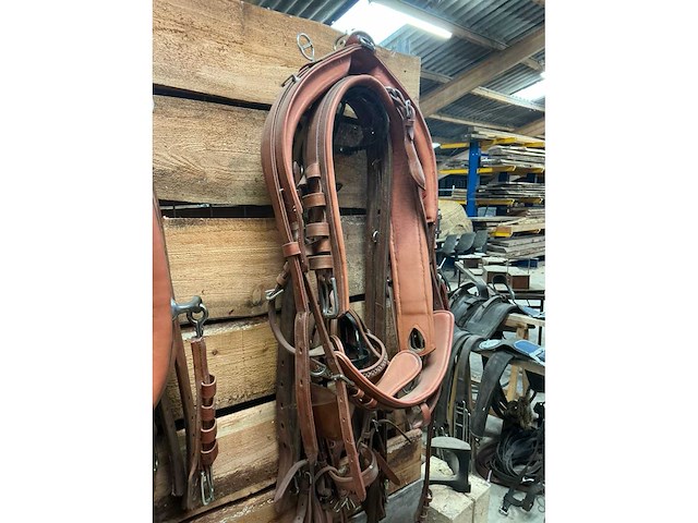 Tandemtuig - afbeelding 3 van  7