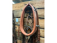 Tandemtuig - afbeelding 4 van  7