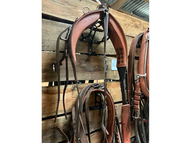 Tandemtuig - afbeelding 5 van  7