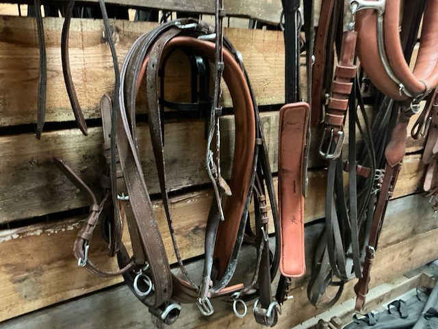 Tandemtuig - afbeelding 6 van  7