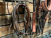 Tandemtuig - afbeelding 6 van  7