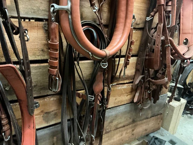 Tandemtuig - afbeelding 7 van  7