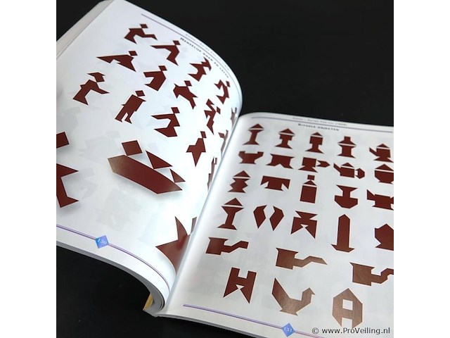 Tangram - afbeelding 4 van  5