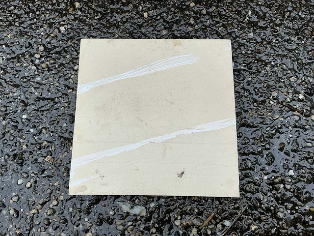 Taurus - 15x15 cm - 8 m2 - wandtegel - afbeelding 2 van  5