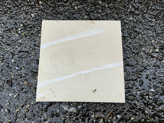 Taurus - 15x15 cm - 8 m2 - wandtegel - afbeelding 2 van  5