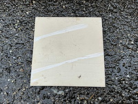 Taurus - 15x15 cm - 8 m2 - wandtegel - afbeelding 2 van  5