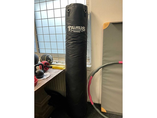 Taurus r9 pro roeitrainer en bokszak - afbeelding 5 van  6