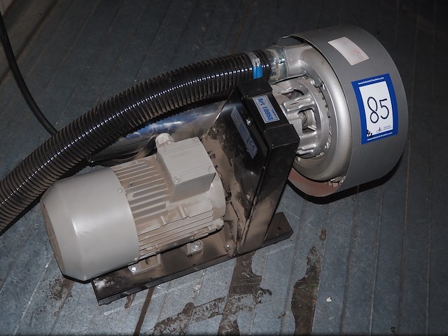 Tawi - afbeelding 2 van  14