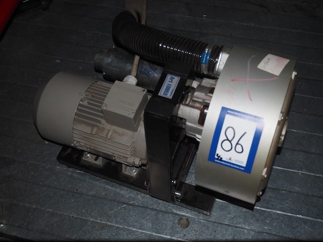 Tawi - afbeelding 4 van  14