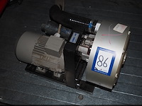 Tawi - afbeelding 4 van  14