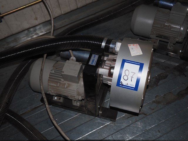 Tawi - afbeelding 2 van  13