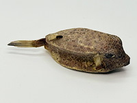 Taxidermy japanse blowfish - doku fugu - afbeelding 2 van  4