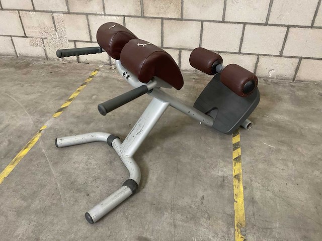 Technogym selection lower back trainingsbank - afbeelding 1 van  4