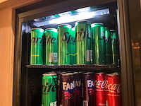 Tefcold - bc60 - koelkast - afbeelding 4 van  4