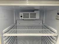 Tefcold - gev425cp-i - glasdeur koelkast - afbeelding 7 van  7