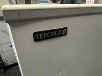 Tefcold - ic300sc-p - ijsconservator / vriezer - afbeelding 6 van  8