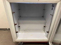 Tefcold - uf100g - glasdeur koelkast - afbeelding 3 van  4