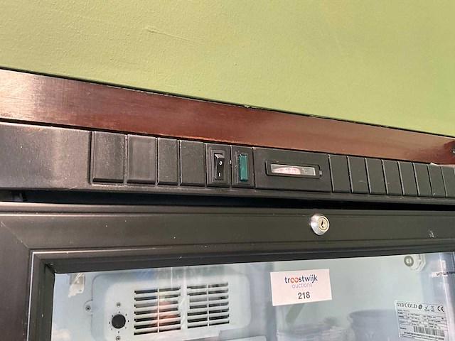 Tefcold scu1375 defecte glasdeur koelkast - afbeelding 5 van  6