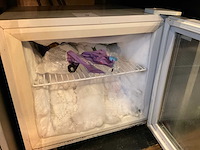Tefcold vriezer - afbeelding 2 van  2