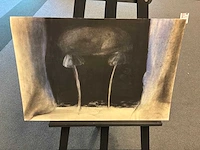 Tekening “elisabeth de vaal” - afbeelding 2 van  4