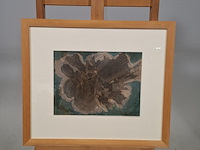 Tekening in lijst, jenny das, komeet, 1977