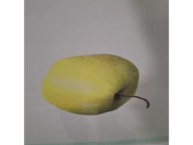 Tekening in lijst, w. c. zegwaard, appel - afbeelding 4 van  8