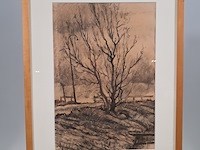 Tekening, johannes k. veerman, de boom, 1961 - afbeelding 2 van  9
