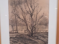Tekening, johannes k. veerman, de boom, 1961 - afbeelding 3 van  9