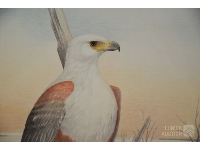 Tekening - afbeelding 2 van  4