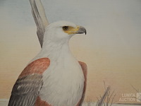 Tekening - afbeelding 2 van  4