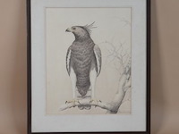 Tekening - afbeelding 1 van  4