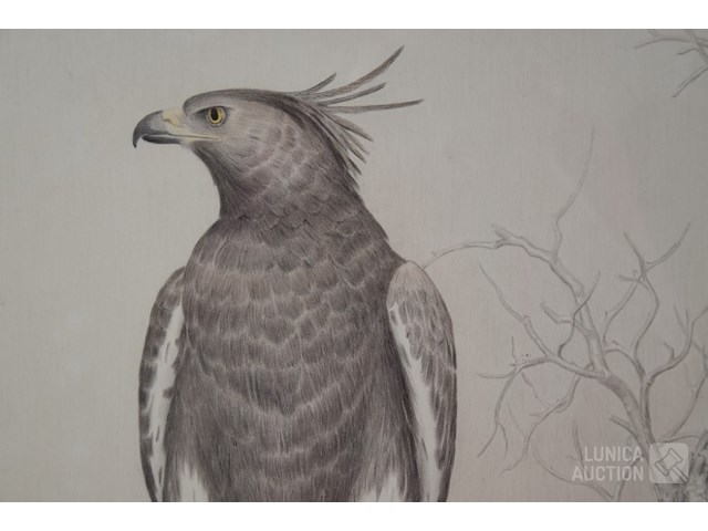 Tekening - afbeelding 2 van  4