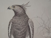 Tekening - afbeelding 2 van  4