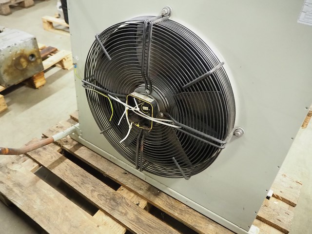 Teko - afbeelding 5 van  6