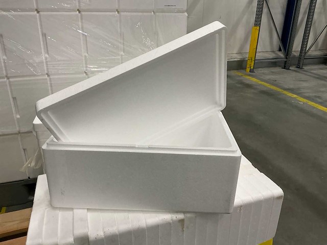 Tempex boxen (100x) - afbeelding 1 van  3