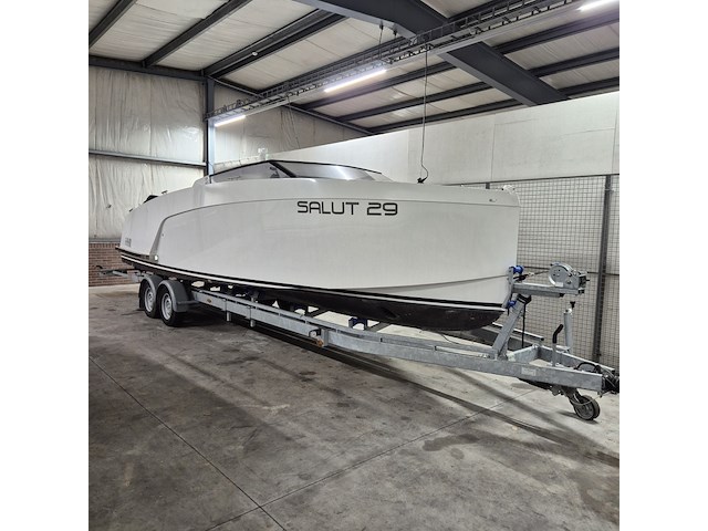 Tender met evinrude h200hlaha buitenboordmotor en tthdub 3500 easyroller boottrailer , salut, 29 - afbeelding 1 van  54