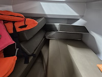 Tender met evinrude h200hlaha buitenboordmotor en tthdub 3500 easyroller boottrailer , salut, 29 - afbeelding 32 van  54