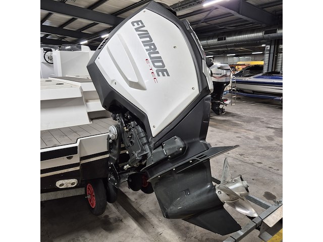 Tender met evinrude h200hlaha buitenboordmotor en tthdub 3500 easyroller boottrailer , salut, 29 - afbeelding 34 van  54