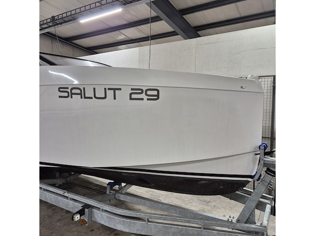 Tender met evinrude h200hlaha buitenboordmotor en tthdub 3500 easyroller boottrailer , salut, 29 - afbeelding 3 van  54