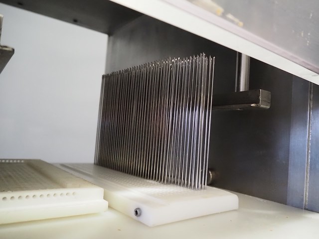 Tender star - afbeelding 6 van  7