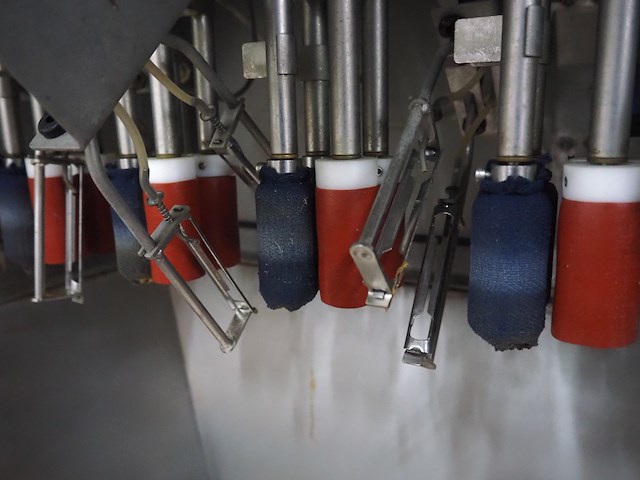 Tenge-rietberg - afbeelding 14 van  15