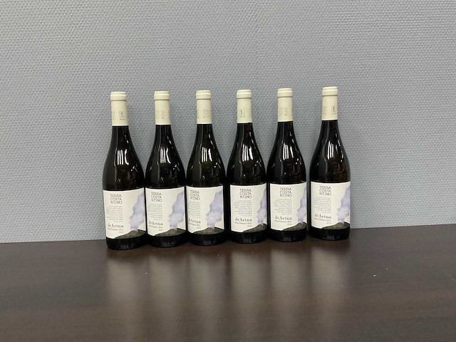 Terra costantino 'de aetna bianco' 2022 (6x) - afbeelding 1 van  4