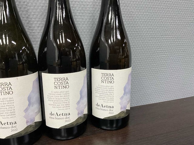 Terra costantino 'de aetna bianco' 2022 (6x) - afbeelding 2 van  4