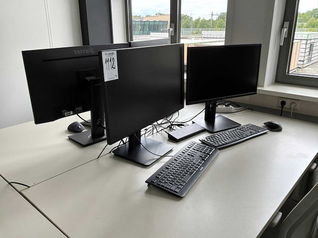 Terra monitor (4x) - afbeelding 1 van  6