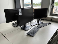 Terra monitor (4x) - afbeelding 1 van  6