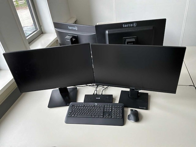 Terra monitor (4x) - afbeelding 4 van  6