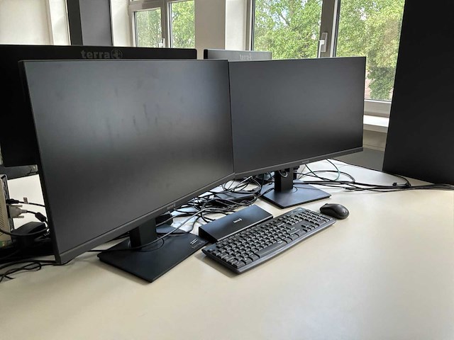 Terra monitor (5x) - afbeelding 1 van  7